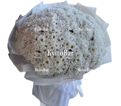 99 білих хризантем