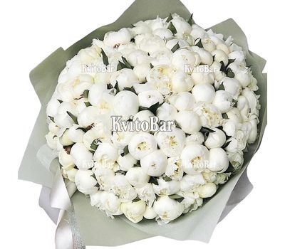 99 білих півоній