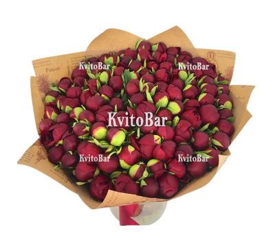 99 бордових півоній