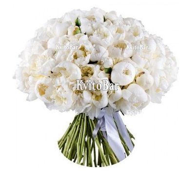 Букет із 101 білої півонії