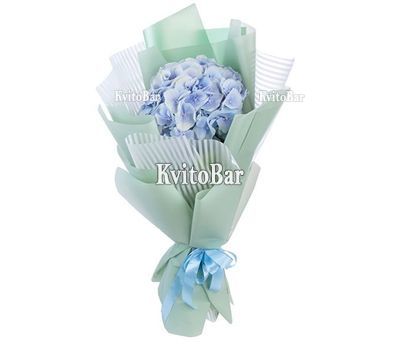 Bouquet of blue hydrangea