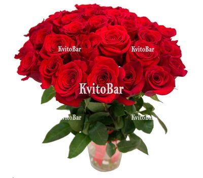 Букет із 31 червоної троянди