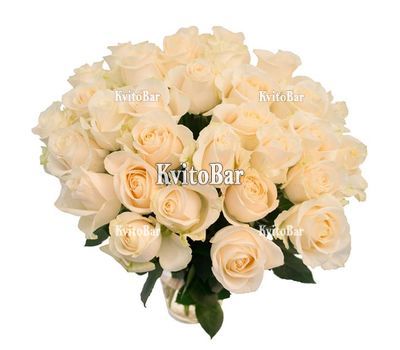 Букет із 33 білих троянд