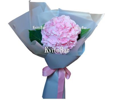 Букет рожевої гортензії