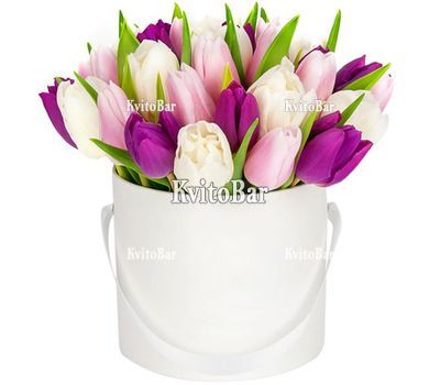 Букет з 25 тюльпанів в коробці