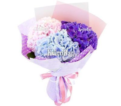 Букет з 3 гортензій