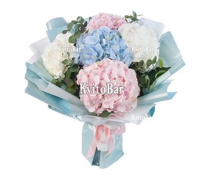 Букет із 5 гортензій