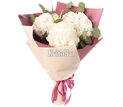 Ніжні гортензії