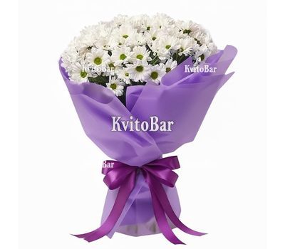 11 ромашковых хризантем