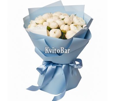 17 белых пионов