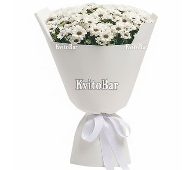 Букет 11 ромашковых хризантем